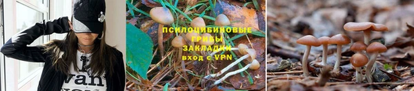ALPHA PVP Алзамай