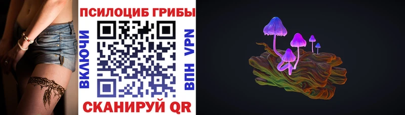 ссылка на мегу ссылка  купить закладку  Данилов  Псилоцибиновые грибы мицелий 