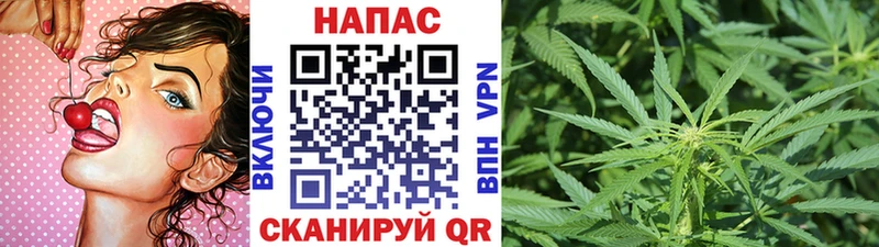 МАРИХУАНА Bruce Banner  hydra   Данилов 